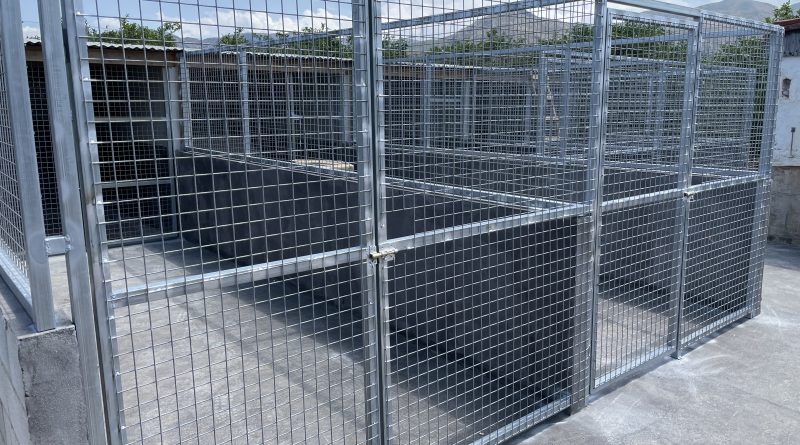 Kingspan dog hot sale kennels