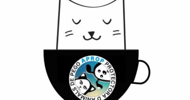 Jornada de Portes Obertes i Cat Cafe