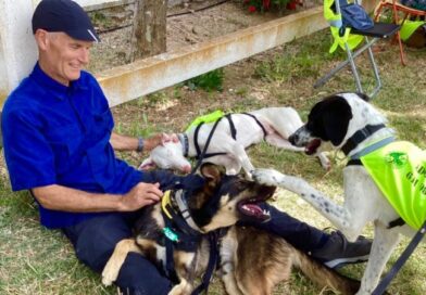 ¿Por qué me ofrezco como voluntario para pasear perros en Aprop?